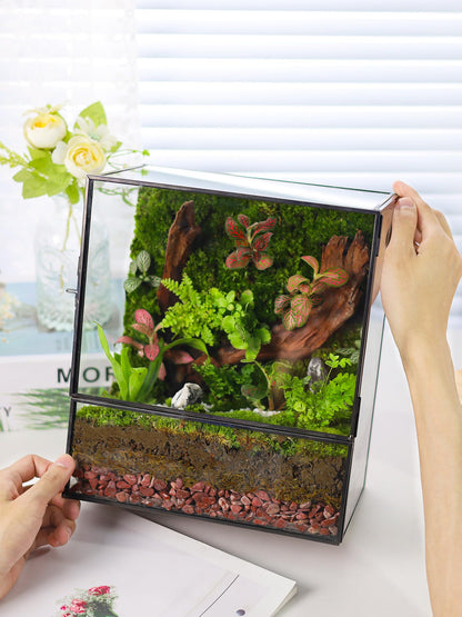 REDHUGO Glass Planter Terrariums with Door, Glass Terrarium Glass Greenhouse, Geometric Plants Terrariums Planter for Moss, Succulent, Indoor Tabletop Centerpiece, Rectangle, Black (TERRARIUM ONLY) - Plantonio