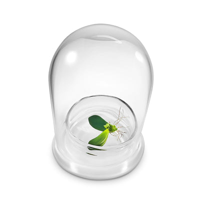 Bloomify Terra Gel Plant Propagation Seed Starter Tray with Glass Dome – Advanced Technology Gardening Supplies Plant Propagation Station for Succulents – Easy to Use Seed Starter Kit - Plantonio