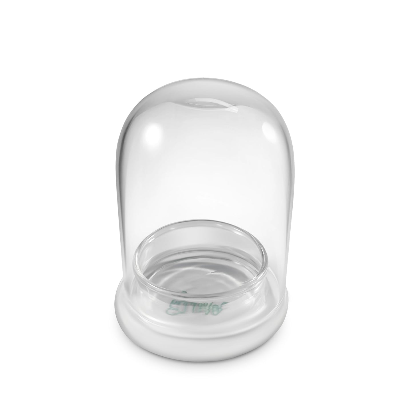 Bloomify Terra Gel Plant Propagation Seed Starter Tray with Glass Dome – Advanced Technology Gardening Supplies Plant Propagation Station for Succulents – Easy to Use Seed Starter Kit - Plantonio