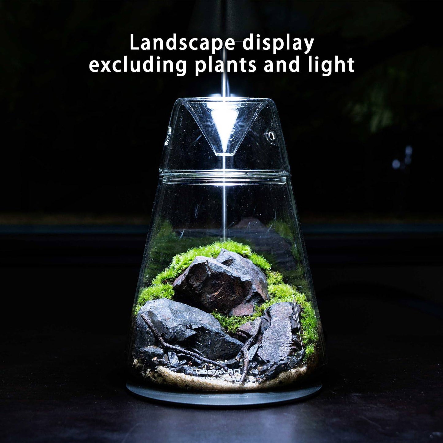 Glass Plant Terrarium with Lid 6.3"X7.9" Inches Succulent Air Planter Fern Moss Micro-Landscape Vase for Home Office Tabletop Decoration Container Indoor Wardian Copyright Patent - Plantonio