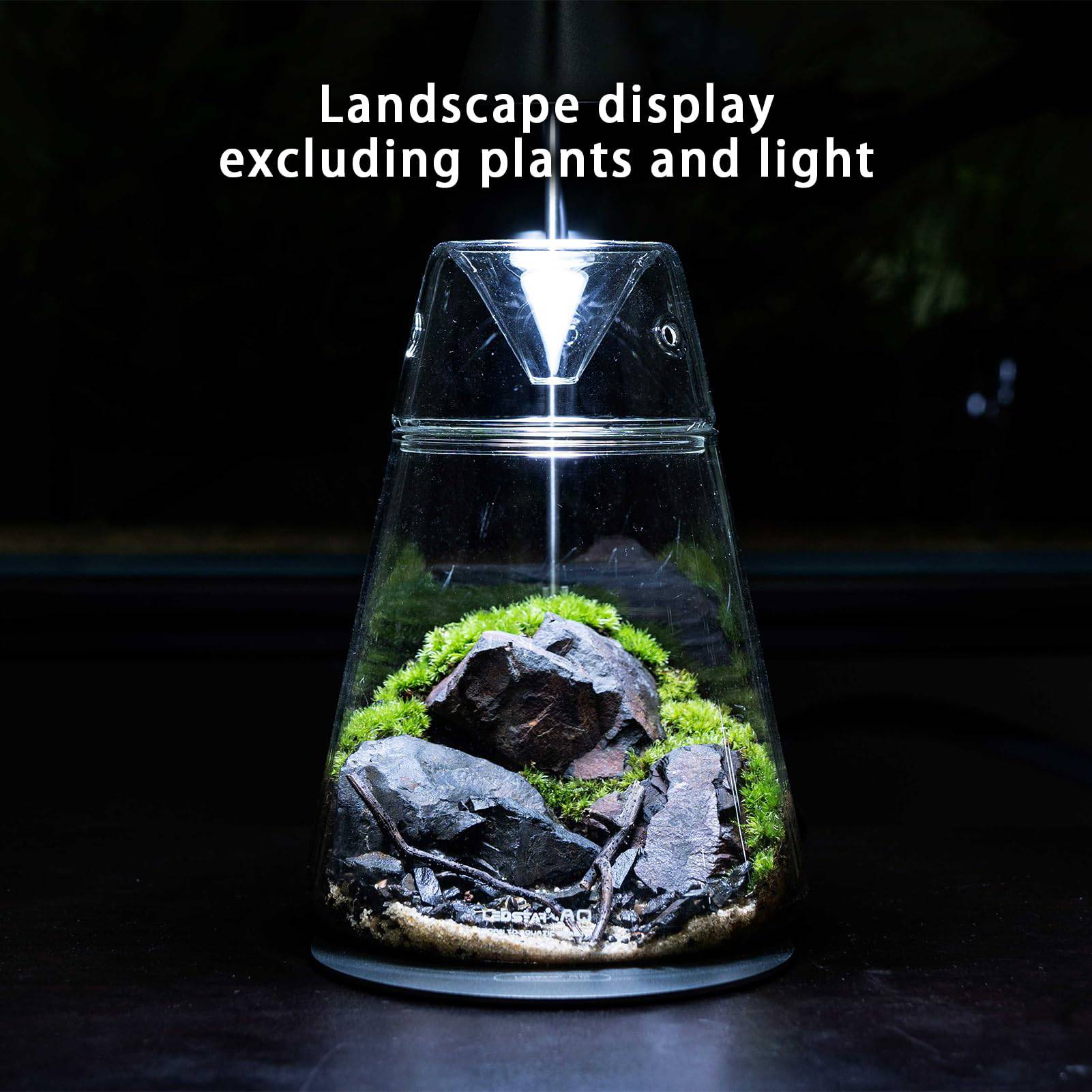Glass Plant Terrarium with Lid 6.3"X7.9" Inches Succulent Air Planter Fern Moss Micro-Landscape Vase for Home Office Tabletop Decoration Container Indoor Wardian Copyright Patent - Plantonio
