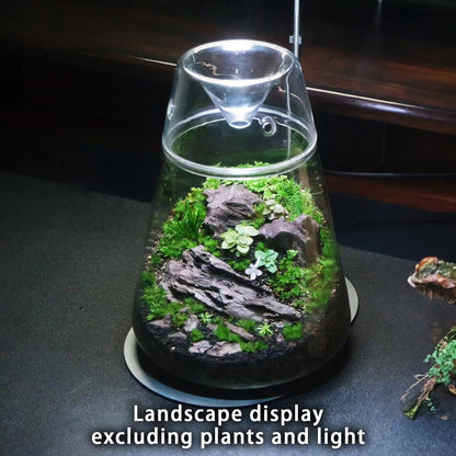 Glass Plant Terrarium with Lid 6.3"X7.9" Inches Succulent Air Planter Fern Moss Micro-Landscape Vase for Home Office Tabletop Decoration Container Indoor Wardian Copyright Patent - Plantonio