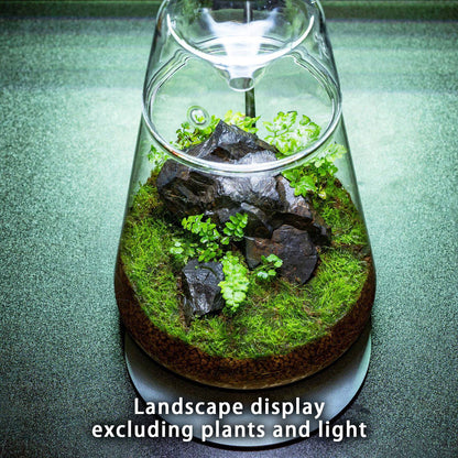 Glass Plant Terrarium with Lid 6.3"X7.9" Inches Succulent Air Planter Fern Moss Micro-Landscape Vase for Home Office Tabletop Decoration Container Indoor Wardian Copyright Patent - Plantonio