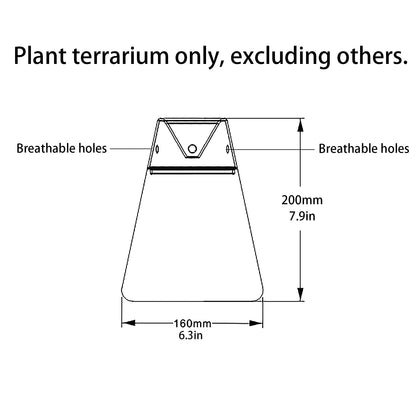 Glass Plant Terrarium with Lid 6.3"X7.9" Inches Succulent Air Planter Fern Moss Micro-Landscape Vase for Home Office Tabletop Decoration Container Indoor Wardian Copyright Patent - Plantonio