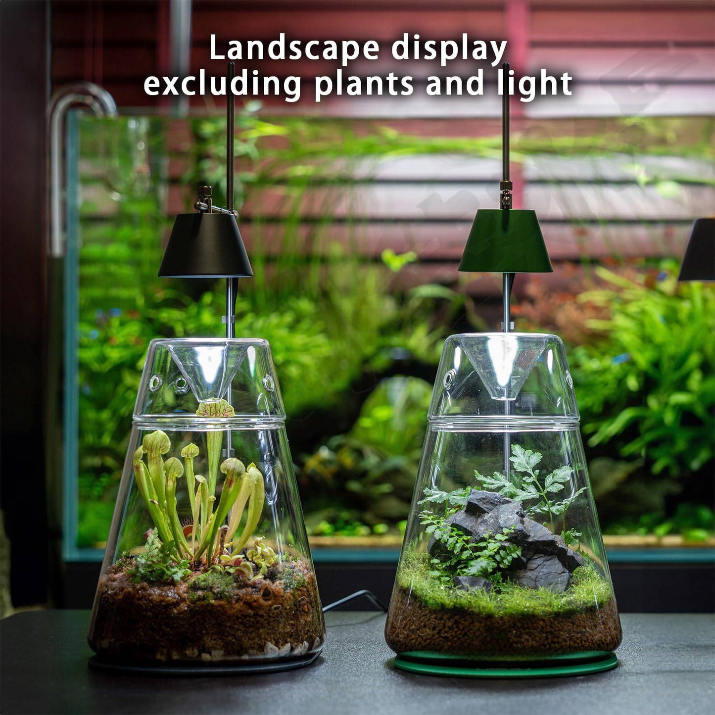 Glass Plant Terrarium with Lid 6.3"X7.9" Inches Succulent Air Planter Fern Moss Micro-Landscape Vase for Home Office Tabletop Decoration Container Indoor Wardian Copyright Patent - Plantonio