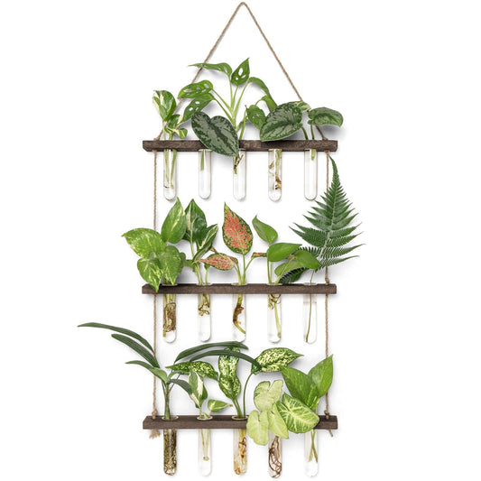 Mkono Plant Propagation Tubes, 3 Tiered Wall Hanging Terrarium with Wooden Stand Mini Test Tube Flower Vase Glass Planter Stations for Hydroponic Cutting Home Garden Office Decor Plant Lover Gift - Plantonio