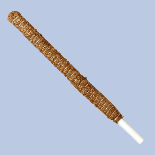 Moss Pole - 22in. - Plantonio