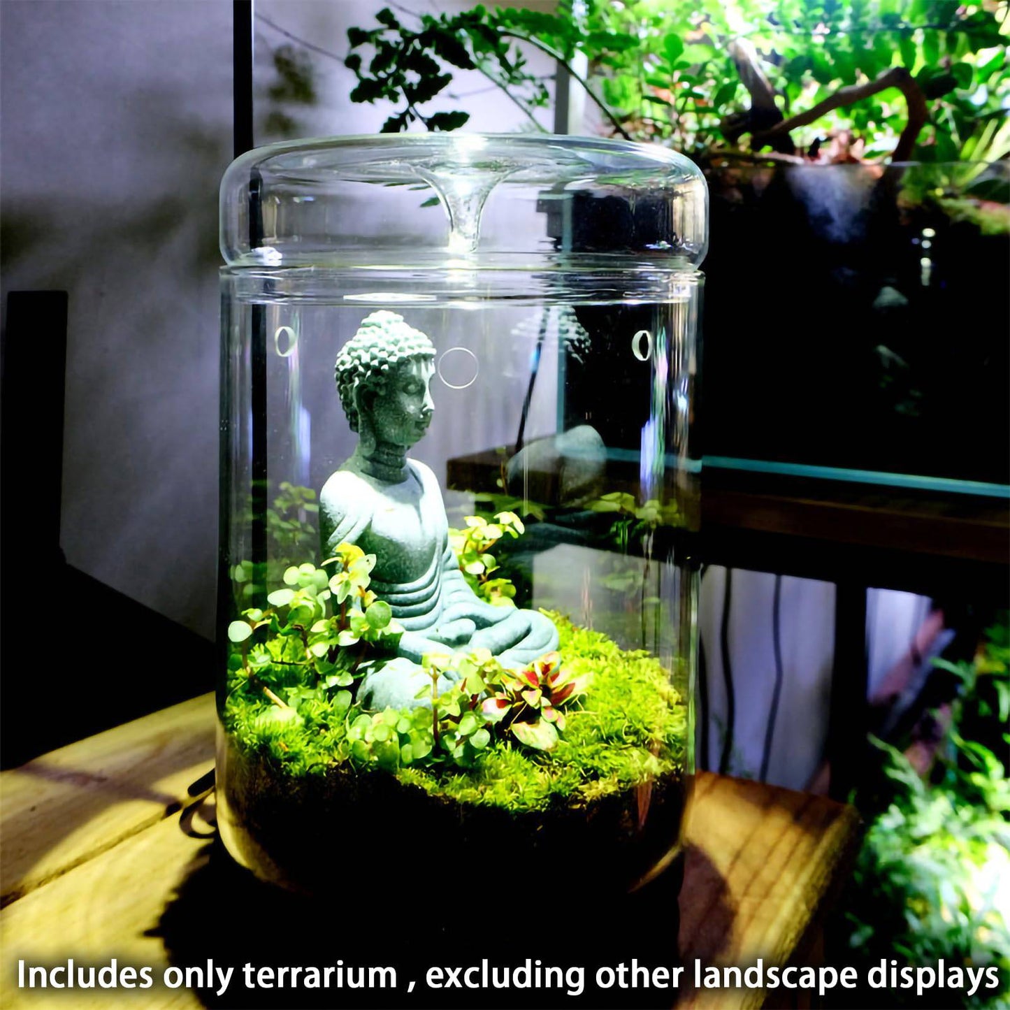 SARUFO Small Glass Plant Terrarium 4.7"X7" Inches Succulent Air Planter Fern Moss Micro-Landscape Vase for Home Garden Office Tabletop Decoration Container with Lid Indoor Wardian Copyright Patent - Plantonio