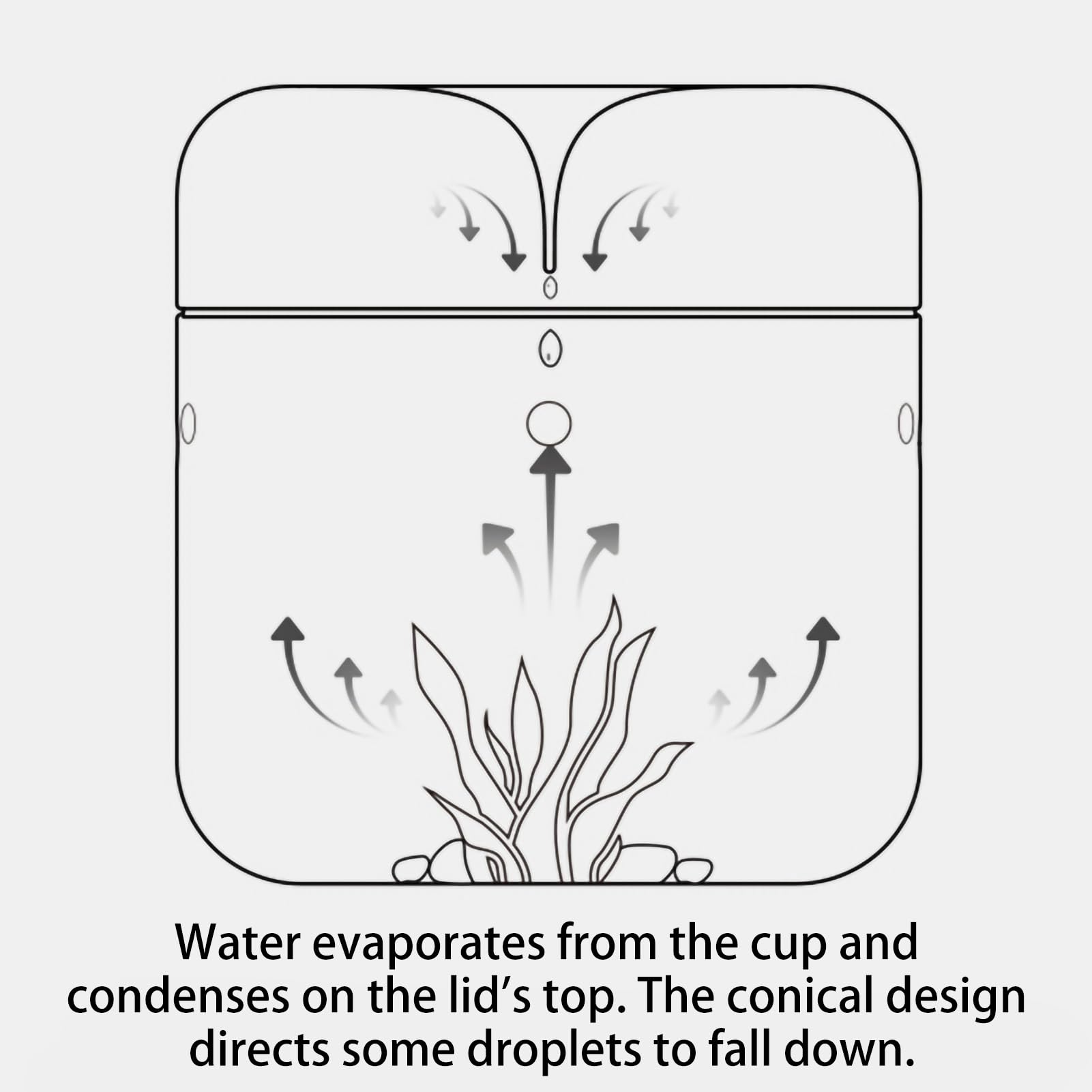 SARUFO Small Glass Plant Terrarium 4.7"X7" Inches Succulent Air Planter Fern Moss Micro-Landscape Vase for Home Garden Office Tabletop Decoration Container with Lid Indoor Wardian Copyright Patent - Plantonio
