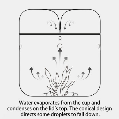 SARUFO Small Glass Plant Terrarium 4.7"X7" Inches Succulent Air Planter Fern Moss Micro-Landscape Vase for Home Garden Office Tabletop Decoration Container with Lid Indoor Wardian Copyright Patent - Plantonio