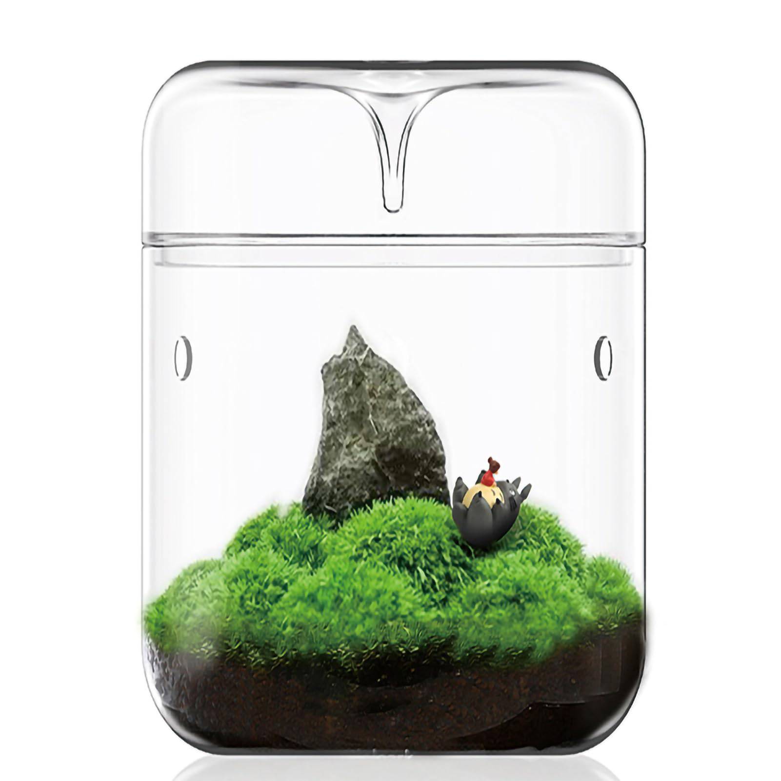 SARUFO Small Glass Plant Terrarium 4.7"X7" Inches Succulent Air Planter Fern Moss Micro-Landscape Vase for Home Garden Office Tabletop Decoration Container with Lid Indoor Wardian Copyright Patent - Plantonio