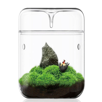 SARUFO Small Glass Plant Terrarium 4.7"X7" Inches Succulent Air Planter Fern Moss Micro-Landscape Vase for Home Garden Office Tabletop Decoration Container with Lid Indoor Wardian Copyright Patent - Plantonio