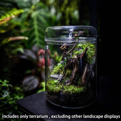 SARUFO Small Glass Plant Terrarium 4.7"X7" Inches Succulent Air Planter Fern Moss Micro-Landscape Vase for Home Garden Office Tabletop Decoration Container with Lid Indoor Wardian Copyright Patent - Plantonio