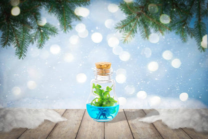 Venus Fly Trap, Grow Your Own Venus Flytrap in a 100% Self Sustaining Glass Terrarium, Maintenance Free, Easy to Grow, Healthy Growth Guarantee - Plantonio